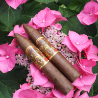 Oliva Serie V Belicoso Cigar - 1 Single